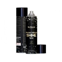 Aerosols balonu spīdumam/oksidēšanās novēršanai 570ml