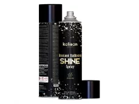 Aerosols balonu spīdumam/oksidēšanās novēršanai 570ml