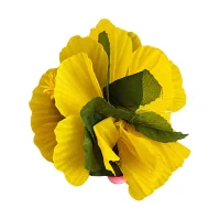 Hawaii sprādze, lielziedu, dzeltena
