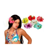 Hawaii sprādze, lielziedu