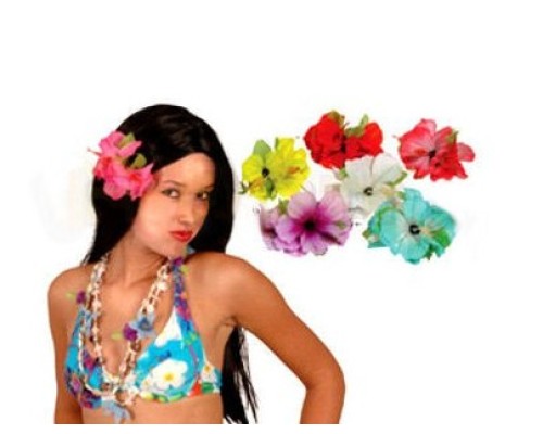 Hawaii sprādze, lielziedu