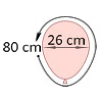 24-26 cm (10 inch)