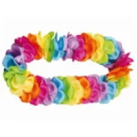 Hawaii ballīte