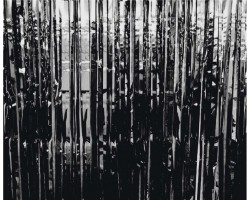 Folijas "lietutiņa" aizkars 90x240cm melns