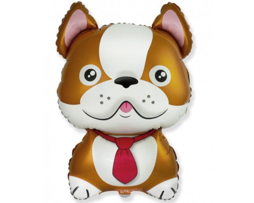 Folijas balons  Dzīvnieki -BULLDOG BROWN, 60cm