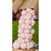 Baloni 29cm, rozā, gliemežnīcas, GEMAR, 100 gab.