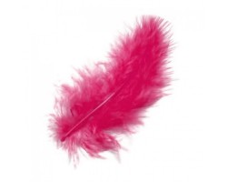 Dekors - spalvas, rozā, fuksiju (3g)