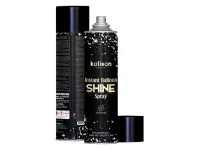Aerosols balonu spīdumam/oksidēšanās novēršanai 570ml