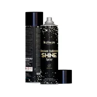 Aerosols balonu spīdumam/oksidēšanās novēršanai 570ml