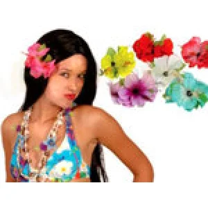 Hawaii zieds