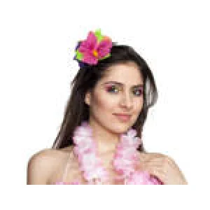 Hawaii ziedu rota 2