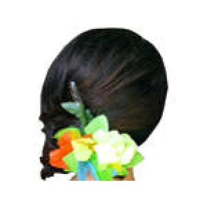 Hawaii ziedu rota