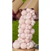 Gliemežnīcas rozā Gemar pasteļbaloni 30 cm, 100 gab. Gliemežnīcas rozā Gemar pasteļbaloni 30 cm, 100 gab.