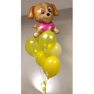 Skaja: 6 balonu pušķis — HBF-22 Skaja: 6 balonu pušķis — HBF-22