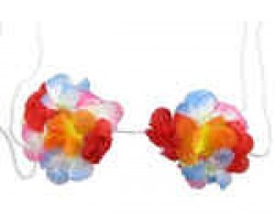 Hawaii aksesuārs, S