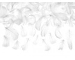 Dekors - spalvas, baltas (3g)