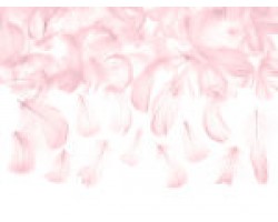 Dekors - spalvas, rozā, gaiši (3g)