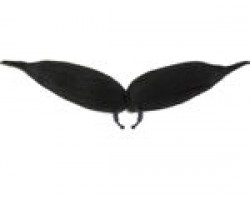 Ūsas - modelēšanai