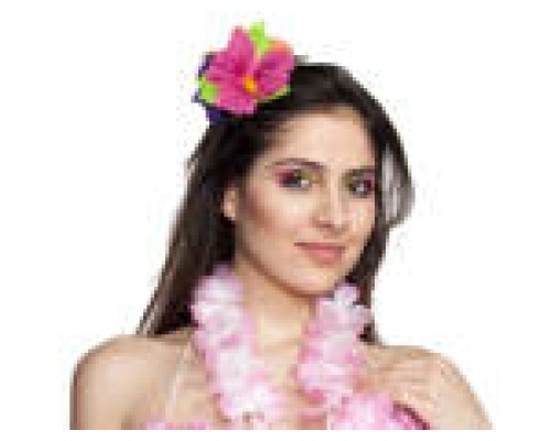 Hawaii ziedu rota 2